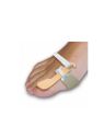 Férula Hallux Valgus
