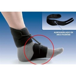 Bandeleta para Boxia Pie Equino AB01 (AB12)