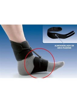 Bandeleta para Boxia Pie Equino AB01 (AB12)