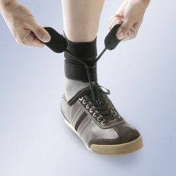 Boxia pie equino