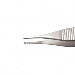 Pinza de disección sin dientes