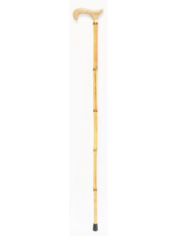 baston extensible caballero apoyo caminar paseo