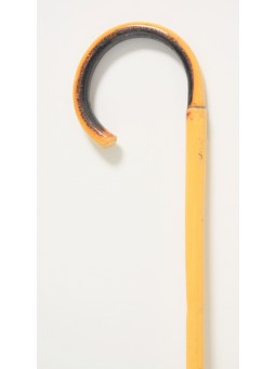 baston feriante feria caminar paseo montaña ganderia mayores ancianos garrote