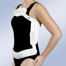 MARCO DE HIPER EXTENSIÓN JEWETT J001/J001A ORLIMAN