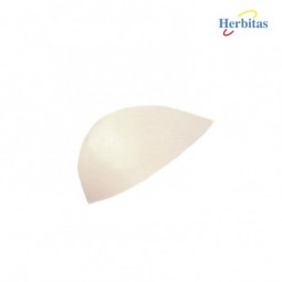 ARCO LONGITUDINAL INTERNO...