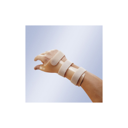 MUÑEQUERA FÉRULA DE...