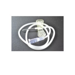 MARIPOSA PALOMILLA -...