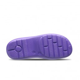 Planta zueco sanitario shoes lavanda