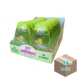 GEL HIGIENIZANTE de manos sin aclarado / TheFruitCompany