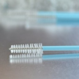 CEPILLOS CITOLÓGICOS -...