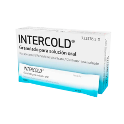 INTERCOLD GRANULADO PARA...
