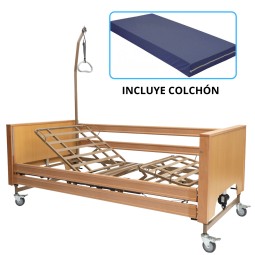 CAMA ELECTRICA CON CARRO...