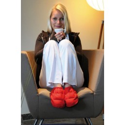 Zapatillas rellenas de linaza