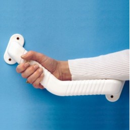 Asidera angulada 'Gordon'