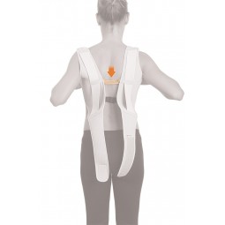 Espaldera en ocho comfort Orliman 1