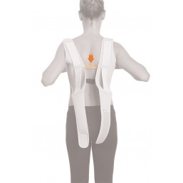 Espaldera en ocho comfort Orliman 1