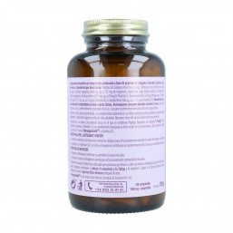 Fortigel Colágeno Bioactivo