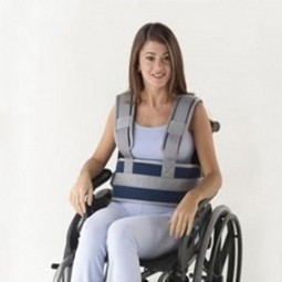 CINTURÓN SUJECIÓN TRONCO...