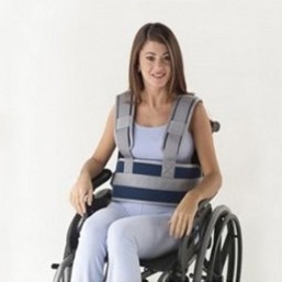 CINTURÓN SUJECIÓN TRONCO...